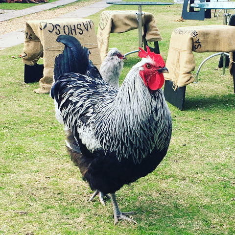 Container65 - Accommodation Batemans Bay 4