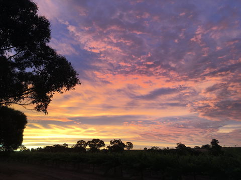 Container65 - Accommodation Batemans Bay 5