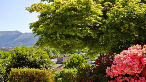 Greatview Holiday Spa Retreat For Couples - Accommodation Batemans Bay 4