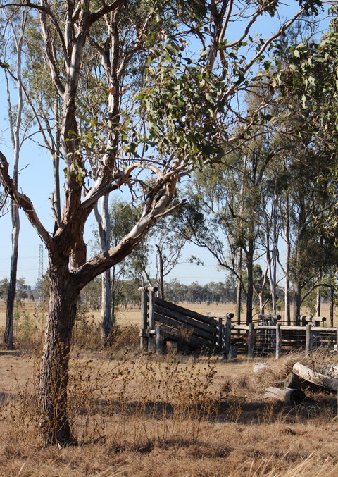 Keira Farm - Accommodation Batemans Bay 3