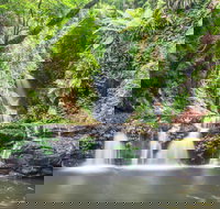 O'Reilly's Rainforest Retreat - Accommodation Batemans Bay