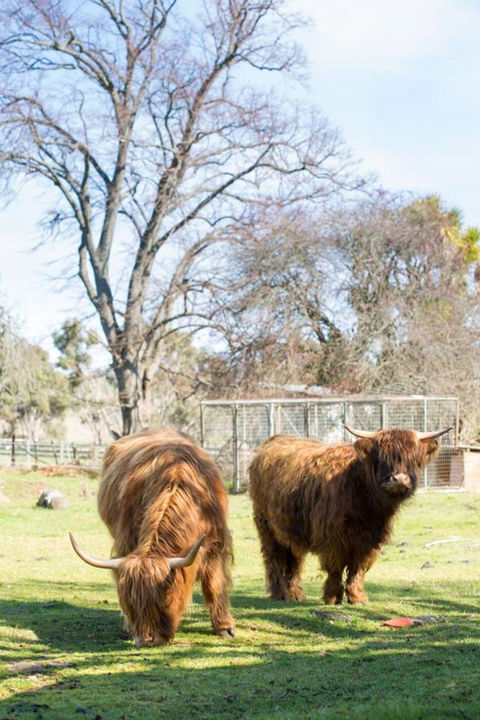 Ratho Farm - Accommodation Batemans Bay 8