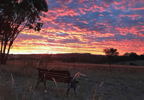 The Woolshed Cabins - Accommodation Batemans Bay 7