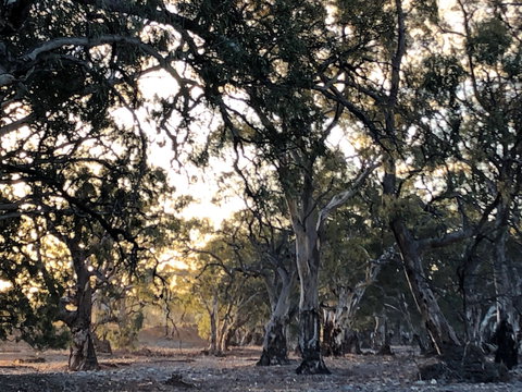 Almerta Station - Accommodation Batemans Bay 6
