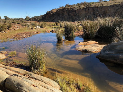 Almerta Station - Accommodation Batemans Bay 7
