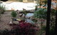 BellbirdHill Bed And Breakfast - thumb 4