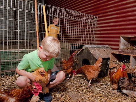 Bilpin Country Lodge - Accommodation Batemans Bay 2