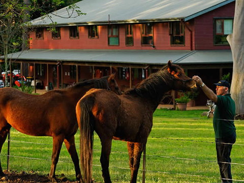 Bilpin Country Lodge - Accommodation Batemans Bay 3