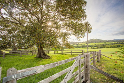 Bo-Warra Farmstay - Accommodation Batemans Bay 2