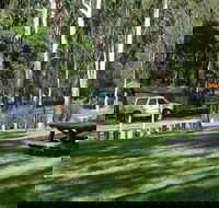 Chaelundi campground - Accommodation Batemans Bay
