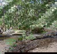 Eungella National Park camping - Accommodation Batemans Bay