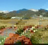 Farringdon Homestead - Accommodation Batemans Bay