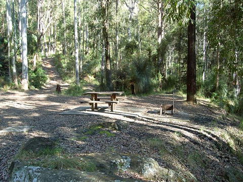 Gap Creek Campground - Accommodation Batemans Bay 1