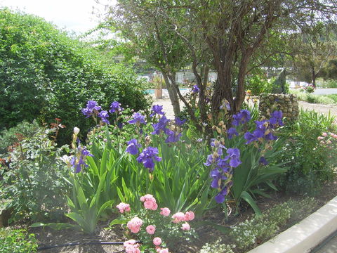 Garden Motor Inn (Golden Chain) - Accommodation Batemans Bay 7