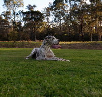 Hunter Valley Retreat - Accommodation Batemans Bay