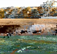 Lone Pine Homestead - Accommodation Batemans Bay