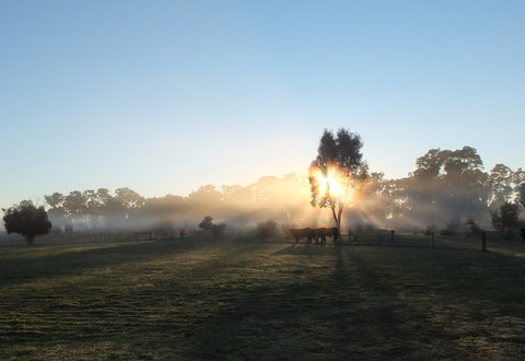 Mackereth's Hedon Farm - Accommodation Batemans Bay 1