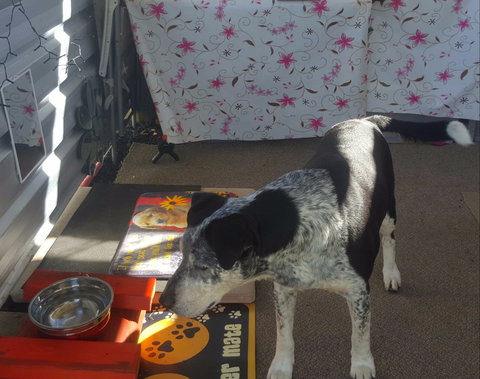 Meeniyan Motel And Bike Hire - Accommodation Batemans Bay 2