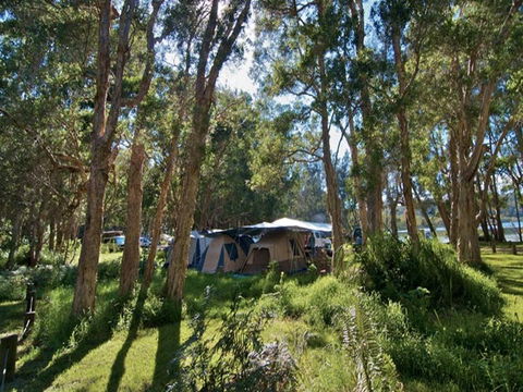 Neranie Campground And Picnic Area - Accommodation Batemans Bay 0