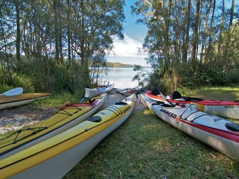 Neranie Campground And Picnic Area - Accommodation Batemans Bay 1
