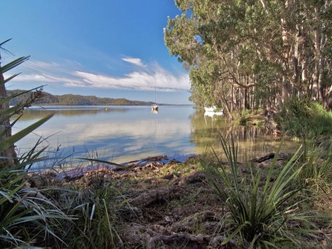 Neranie Campground And Picnic Area - Accommodation Batemans Bay 3