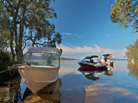 Neranie Campground And Picnic Area - Accommodation Batemans Bay 4
