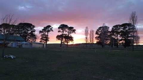 Braidwood Showground - Caravans And Camping - Accommodation Batemans Bay 0