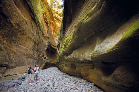 Carnarvon National Park Camping - Accommodation Batemans Bay 0