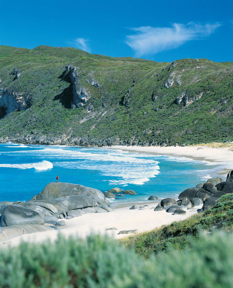 Crystal Springs Camp At D'Entrecasteaux National Park - Accommodation Batemans Bay 0