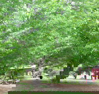 Hill End Holiday Ranch - Accommodation Batemans Bay