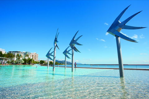 NRMA Cairns Holiday Park - Accommodation Batemans Bay 1
