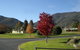 Talbingo Country Club - thumb 1