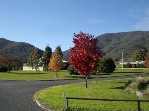 Talbingo Country Club - Accommodation Batemans Bay 1