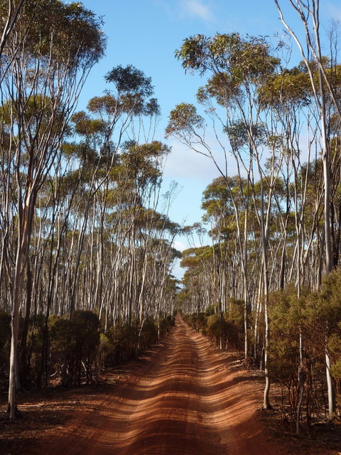 Victoria Rock Camp At Goldfields Woodlands National Park - Accommodation Batemans Bay 0