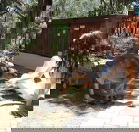 Yelverton Brook Eco Spa Retreat and Conservation Sanctuary - Accommodation Batemans Bay