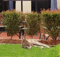 Alpha Canberra Hotel - Accommodation Batemans Bay