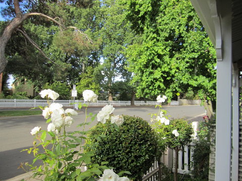 Arendon Cottage - Accommodation Batemans Bay 1