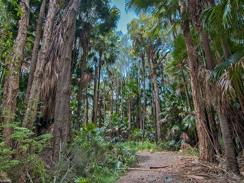 Brambles Green Campground - Accommodation Batemans Bay 1