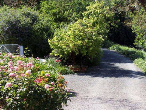 Brown's House Bed & Breakfast - Accommodation Batemans Bay 2