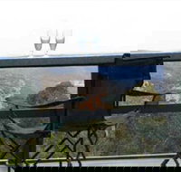 Hatters Hideout Lyres Loft - Accommodation Batemans Bay