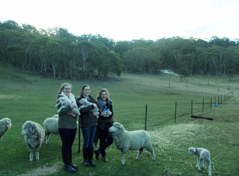 Old Minton Farmstay - Accommodation Batemans Bay 1