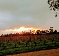 The Grove Distillery and Brewery - Accommodation Batemans Bay
