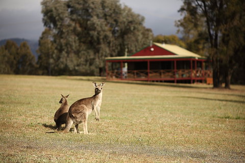 The Pokolbin Cabins - Accommodation Batemans Bay 0