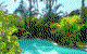 Tallow Beach Motel - thumb 0