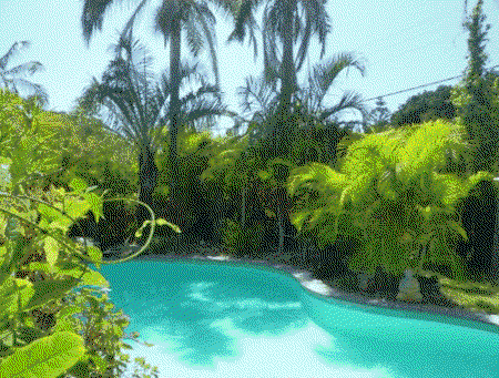 Tallow Beach Motel - Accommodation Batemans Bay 0