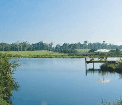 Forest Rise Eco Retreat - Accommodation Batemans Bay
