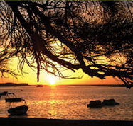 Pelican's Nest - Accommodation Batemans Bay