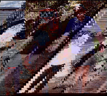 Misty Valley Country Cottages - Accommodation Batemans Bay 4