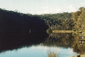 Rest Point Holiday Village - Accommodation Batemans Bay 1