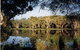 Bush Haven - thumb 3